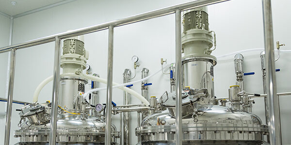 Industrial Agitators In India